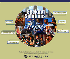 Seeking Solutions: Website by Skoubo Graphics
