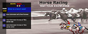 Flash: Horse Racing Quiz