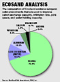 ZEO: Infographic Pie Chart, Skoubo Graphics Website Design