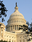 U.S. Capitol, Washington D.C., Photography by Skoubo Graphics