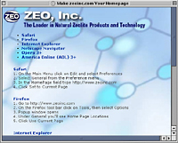 Make zeoinc.com your homepage, Skoubo Graphics Website Design